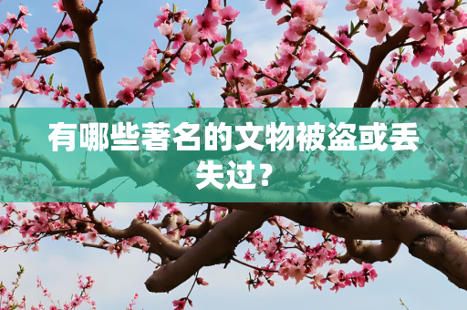 有哪些著名的文物被盗或丢失过？