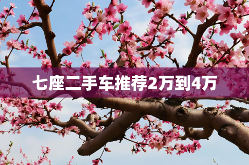 七座二手车推荐2万到4万