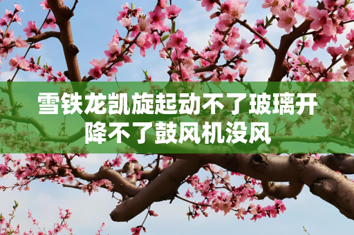 雪铁龙凯旋起动不了玻璃开降不了鼓风机没风