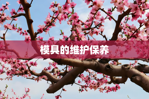 模具的维护保养