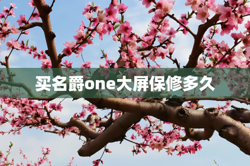 买名爵one大屏保修多久