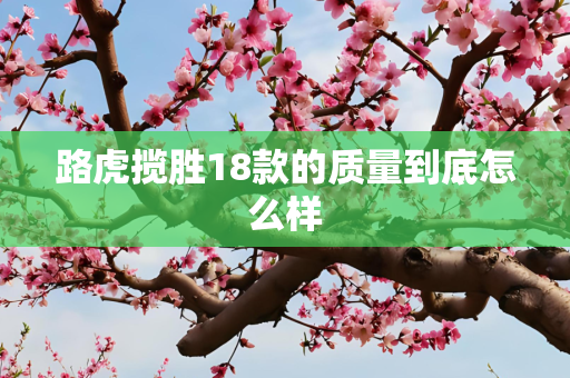 路虎揽胜18款的质量到底怎么样