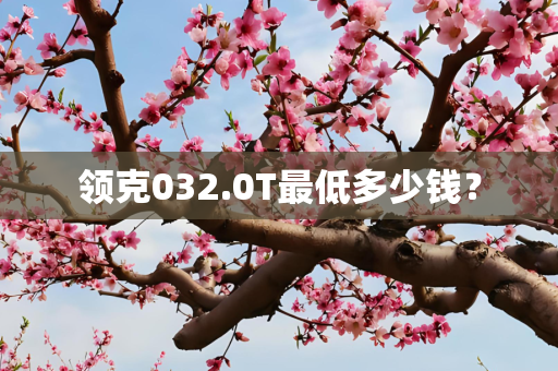 领克032.0T最低多少钱？