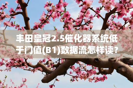丰田皇冠2.5催化器系统低于门值(B1)数据流怎样读？