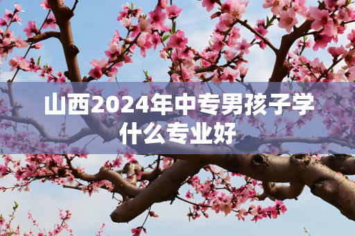 山西2024年中专男孩子学什么专业好