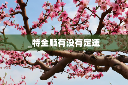 _特全顺有没有定速