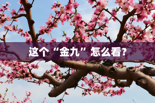 这个“金九”怎么看？