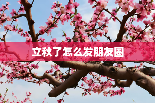 立秋了怎么发朋友圈
