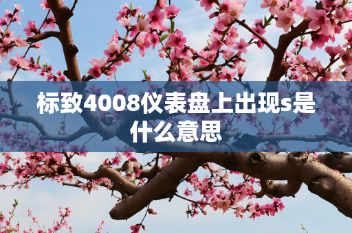 标致4008仪表盘上出现s是什么意思