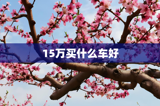 15万买什么车好