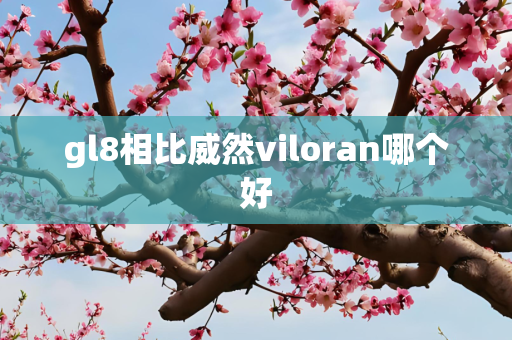 gl8相比威然viloran哪个好