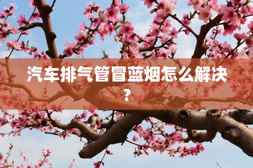 汽车排气管冒蓝烟怎么解决?