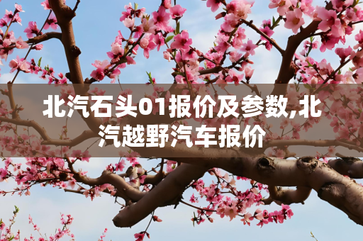 北汽石头01报价及参数,北汽越野汽车报价