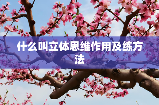 什么叫立体思维作用及练方法