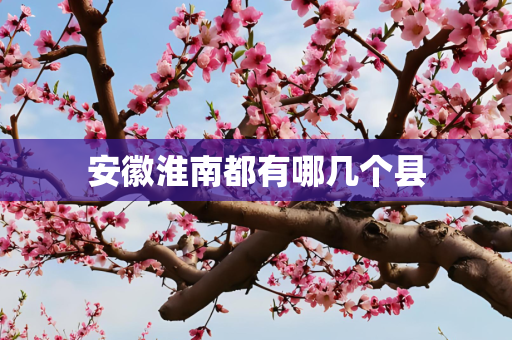 安徽淮南都有哪几个县