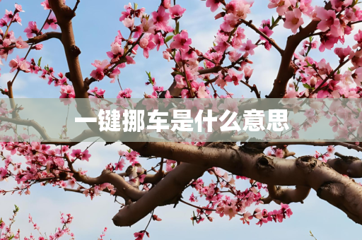 一键挪车是什么意思