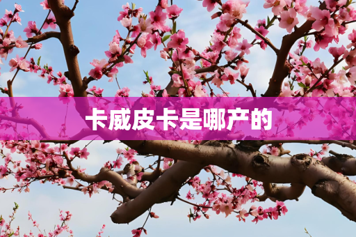 卡威皮卡是哪产的