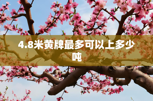 4.8米黄牌最多可以上多少吨
