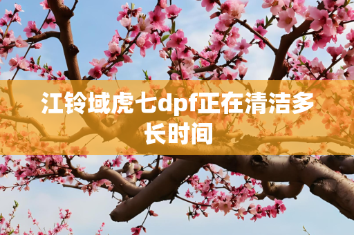 江铃域虎七dpf正在清洁多长时间