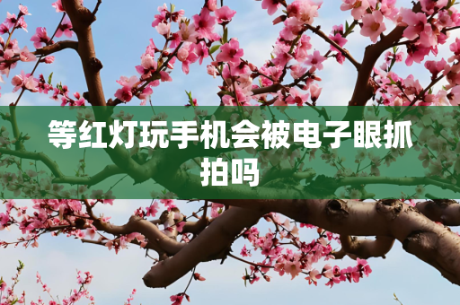 等红灯玩手机会被电子眼抓拍吗