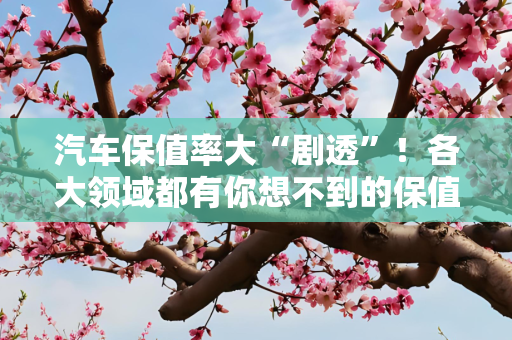 汽车保值率大“剧透”！各大领域都有你想不到的保值率之王
