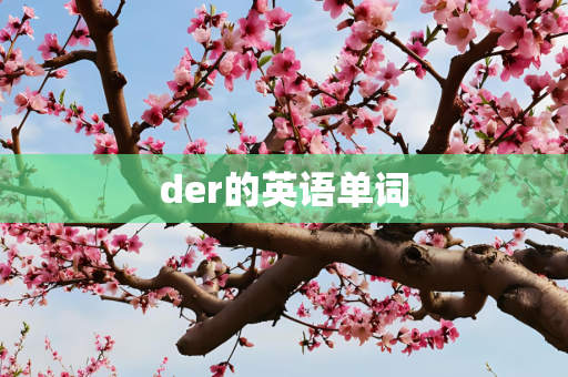 der的英语单词