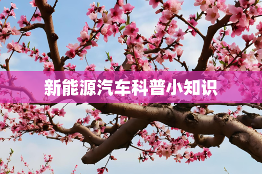 新能源汽车科普小知识