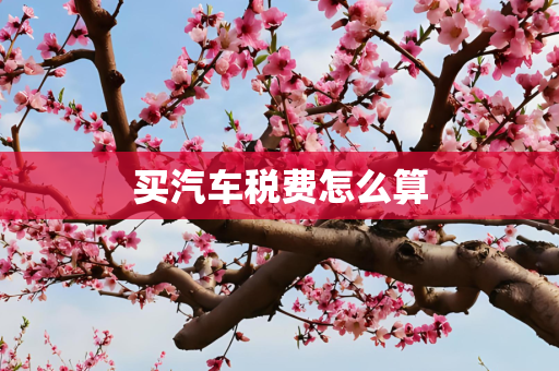 买汽车税费怎么算