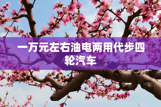 一万元左右油电两用代步四轮汽车