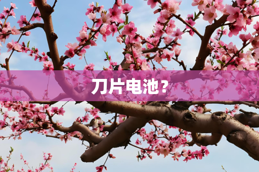 刀片电池？