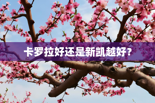卡罗拉好还是新凯越好？