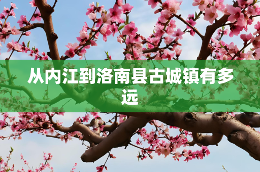从内江到洛南县古城镇有多远