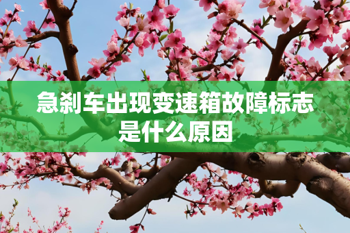 第626页