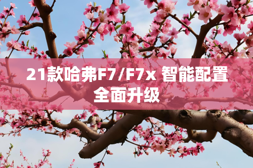 21款哈弗F7/F7x 智能配置全面升级