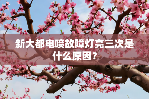 新大都电喷故障灯亮三次是什么原因？