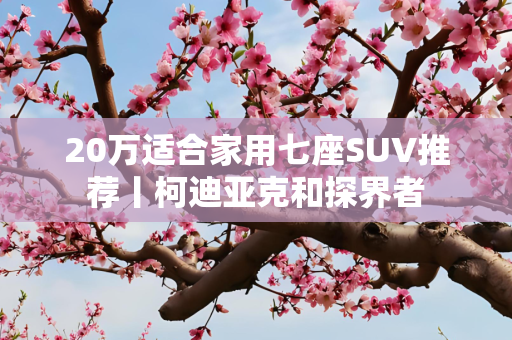 20万适合家用七座SUV推荐丨柯迪亚克和探界者