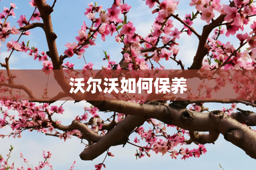 沃尔沃如何保养