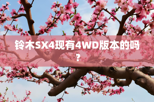 铃木SX4现有4WD版本的吗？