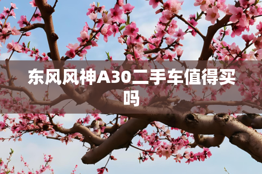 东风风神A30二手车值得买吗
