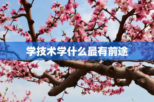 学技术学什么最有前途