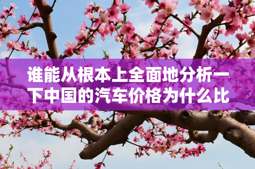 谁能从根本上全面地分析一下中国的汽车价格为什么比较高？