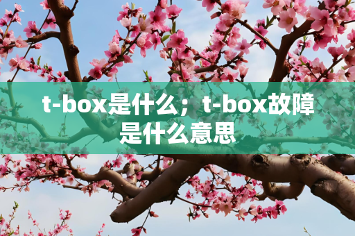 t-box是什么；t-box故障是什么意思