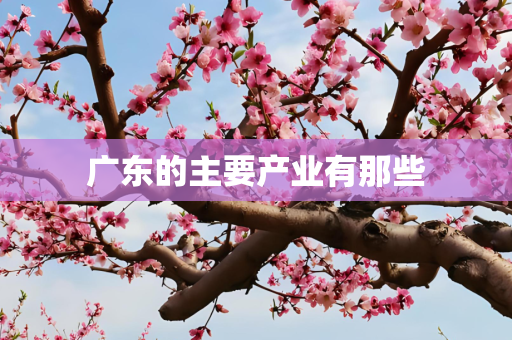 广东的主要产业有那些