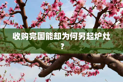 收购完国能却为何另起炉灶？