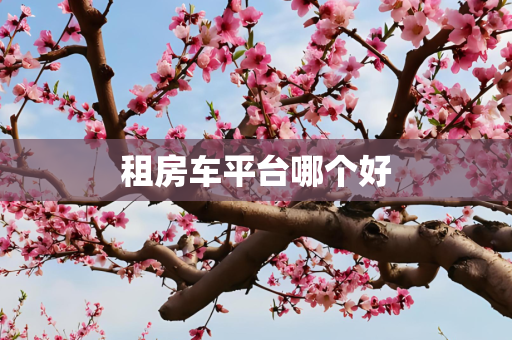 租房车平台哪个好