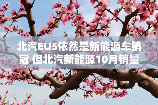 北汽EU5依然是新能源车销冠 但北汽新能源10月销量同比下跌69%