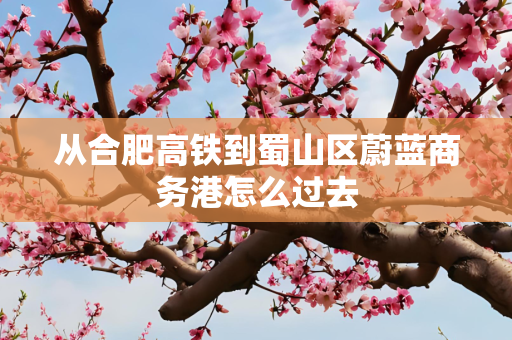 从合肥高铁到蜀山区蔚蓝商务港怎么过去