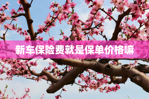 新车保险费就是保单价格嘛