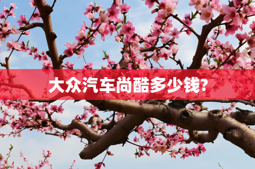 大众汽车尚酷多少钱?