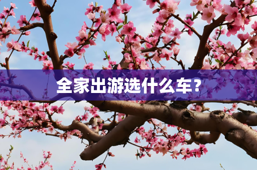 全家出游选什么车？